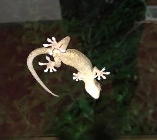 オフショット3.JPG